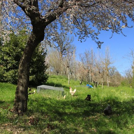 B&B Ride Appennino Montefiorino Экстерьер фото
